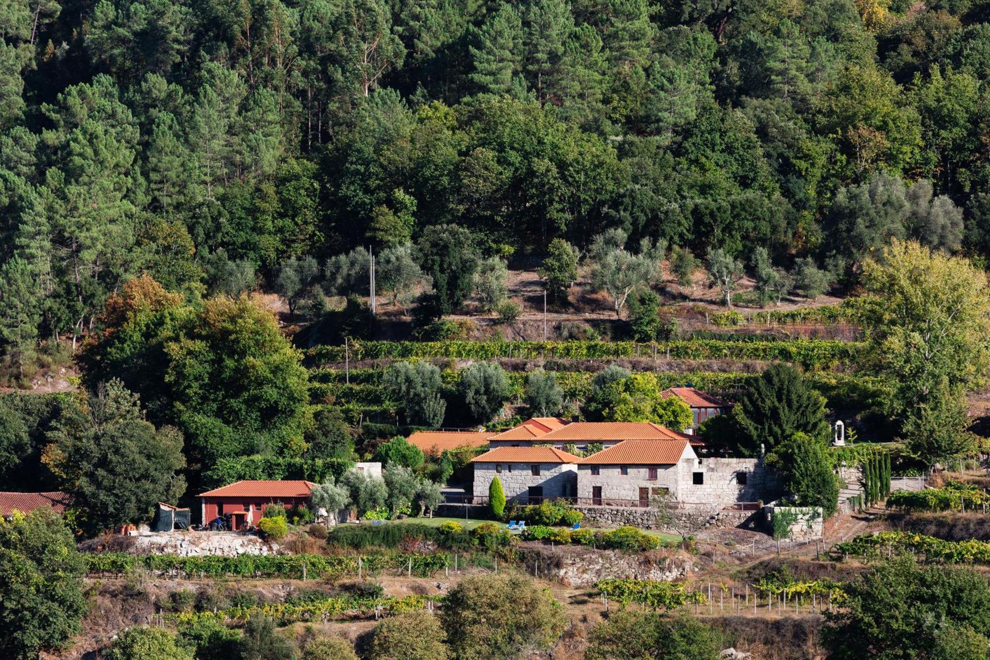 Quinta Da Pousadela - Agroturismo Amarante Luaran gambar