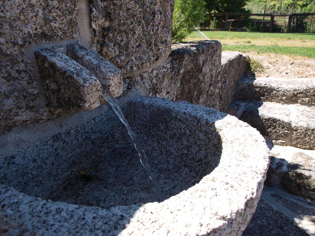 Quinta Da Pousadela - Agroturismo Amarante Luaran gambar