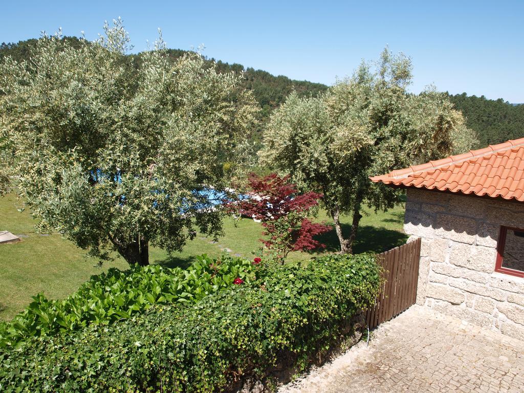 Quinta Da Pousadela - Agroturismo Amarante Luaran gambar