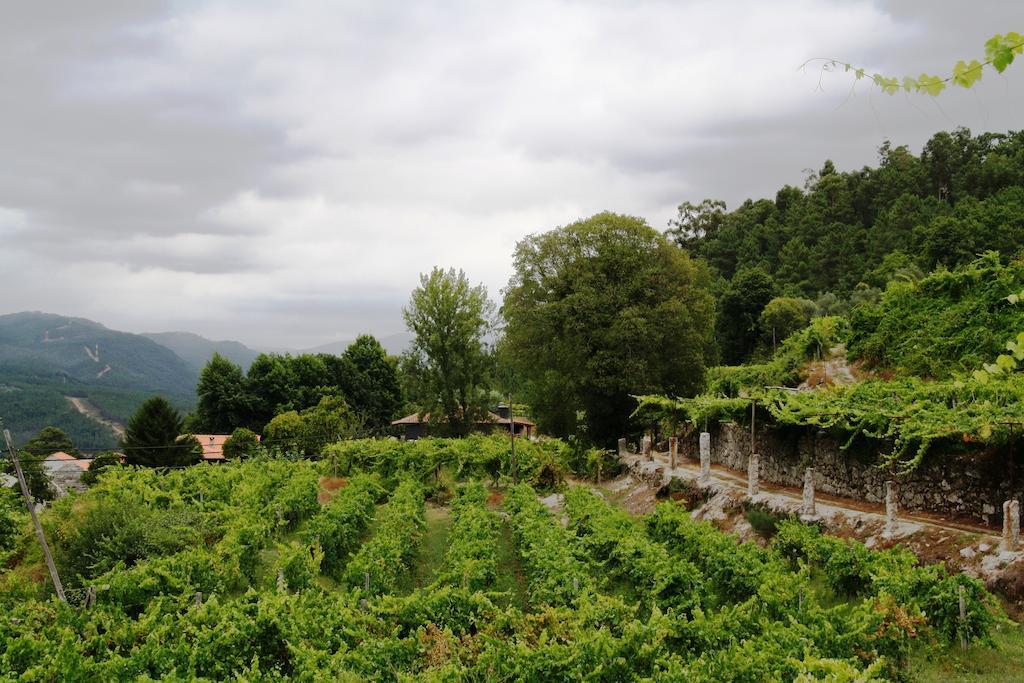 Quinta Da Pousadela - Agroturismo Amarante Luaran gambar